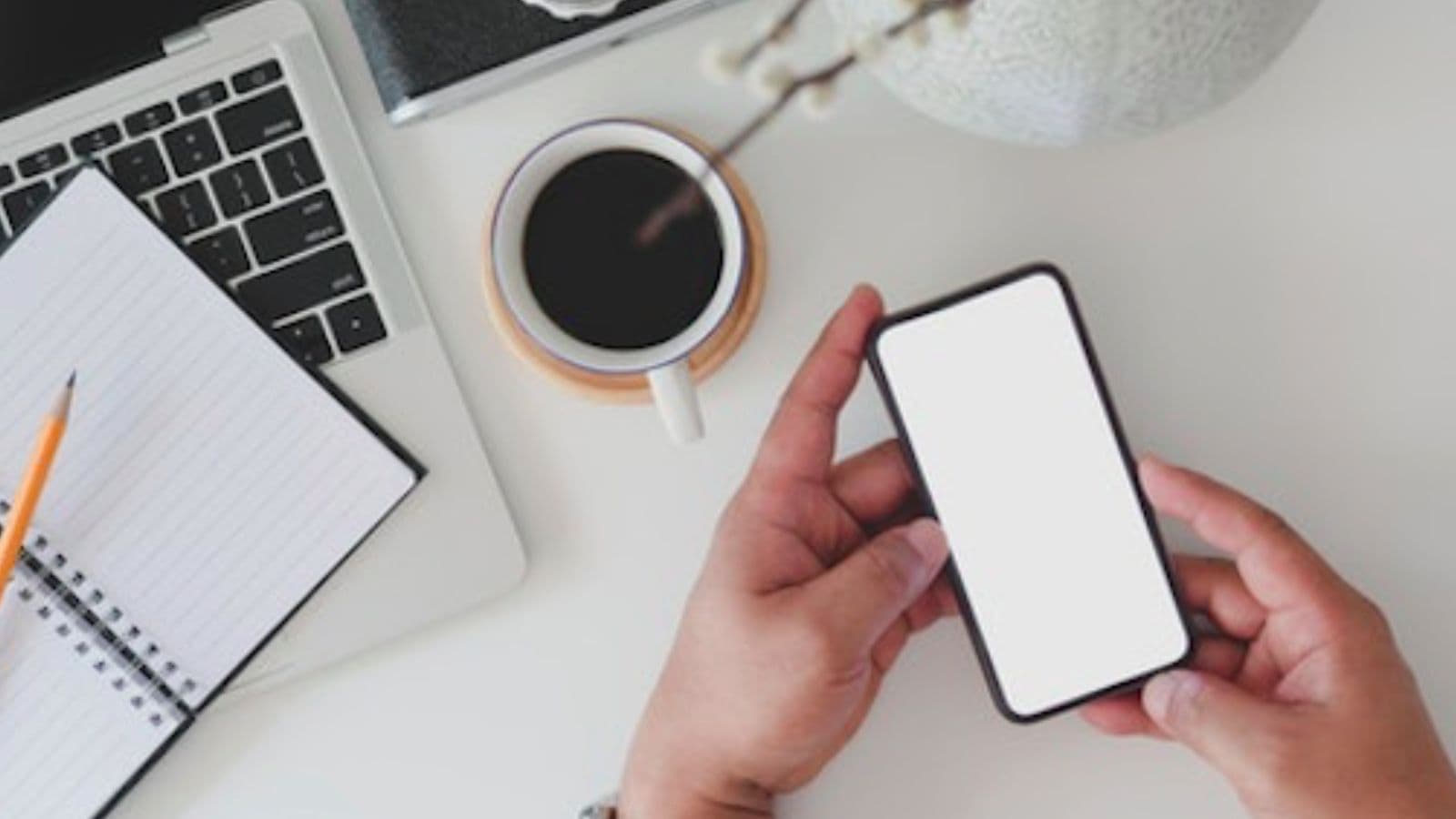 インターンシップ,WEB面接